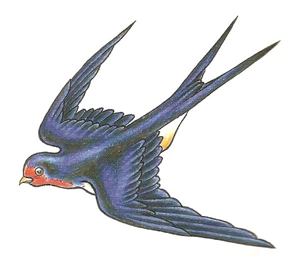 Card image cap